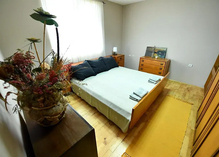 Smestaj Simovic 아파트 *